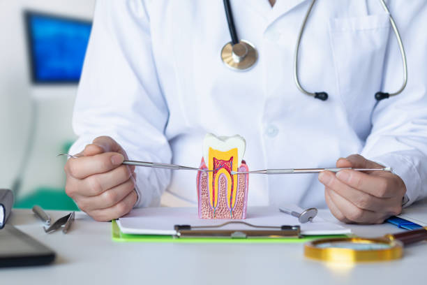 Best Broken or Chipped Tooth Repair in Hinckley, MN